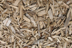 biomass boilers Kircubbin